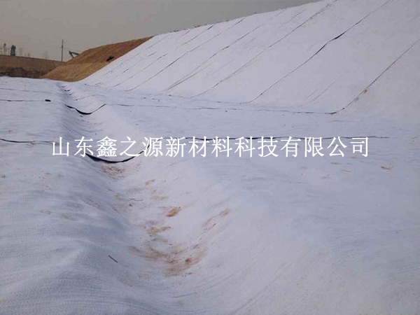 守護養(yǎng)殖基業(yè)，揭秘防滲膜防老化新策略